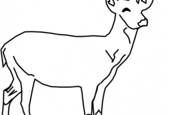 free black and white deer clipart - photo #17